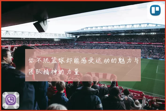 你不玩篮球却能感受运动的魅力与团队精神的力量