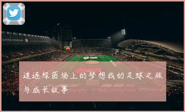 追逐绿茵场上的梦想我的足球之旅与成长故事