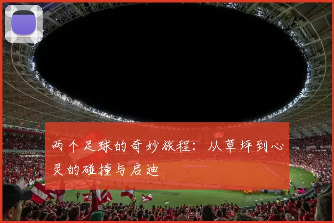 两个足球的奇妙旅程：从草坪到心灵的碰撞与启迪