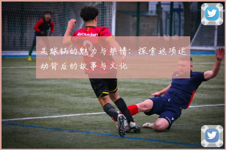 足球锅的魅力与热情：探索这项运动背后的故事与文化