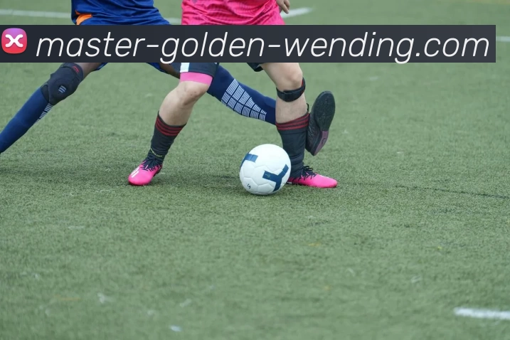 问鼎娱乐APP 高清赛事图